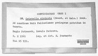 Xenasmatella alnicola image